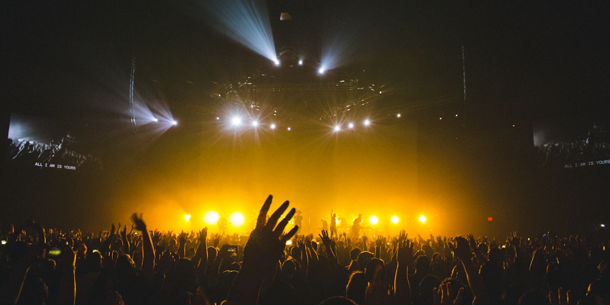Artist performing on stage to a crowd